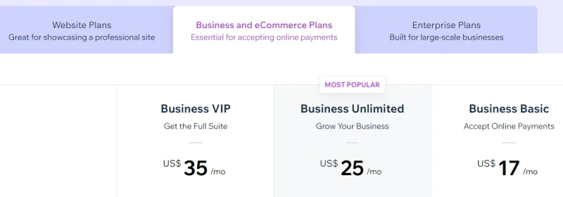 Wix Business and eCommerce plan